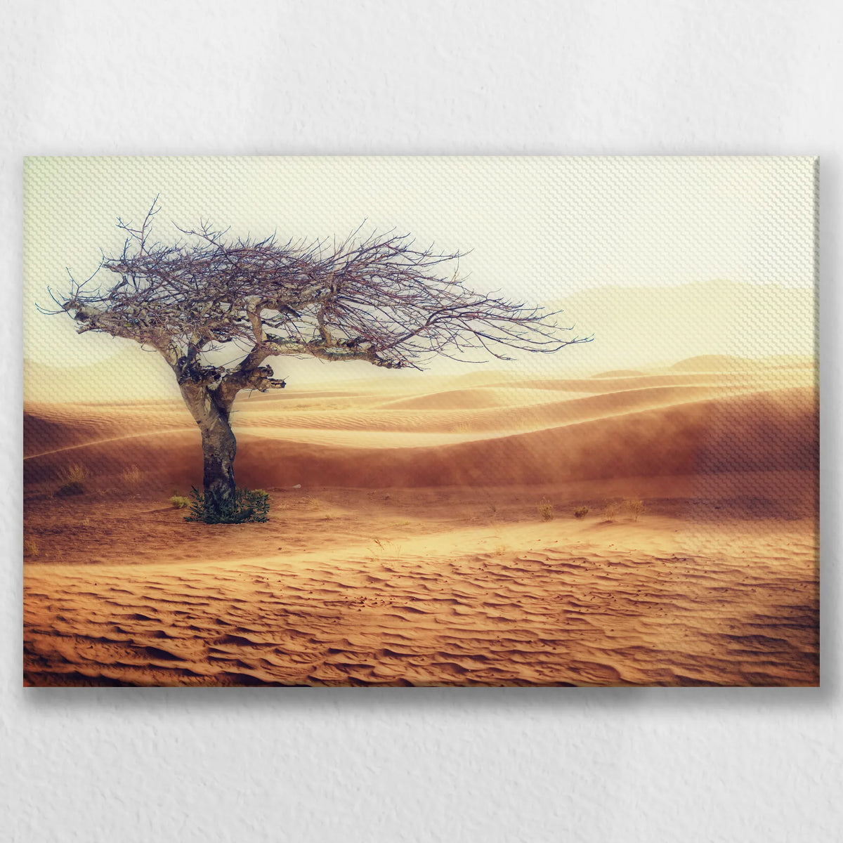 LW-030W020