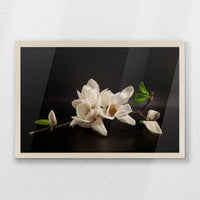 PN-060W040