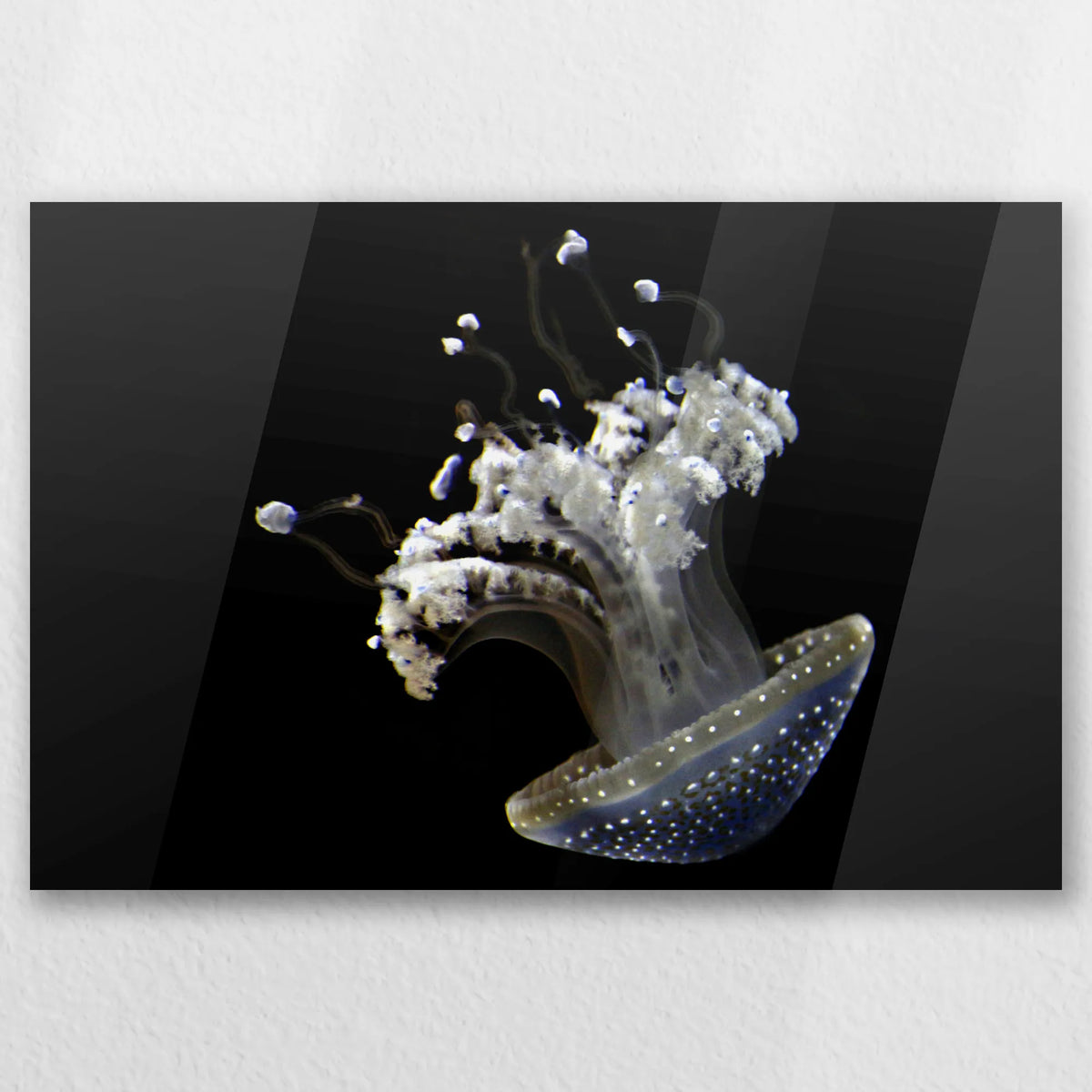 AC-060W040
