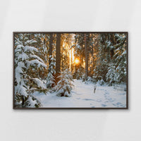 LWN120W080