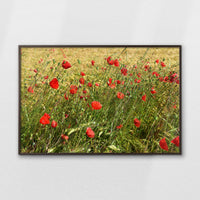 LWN120W080