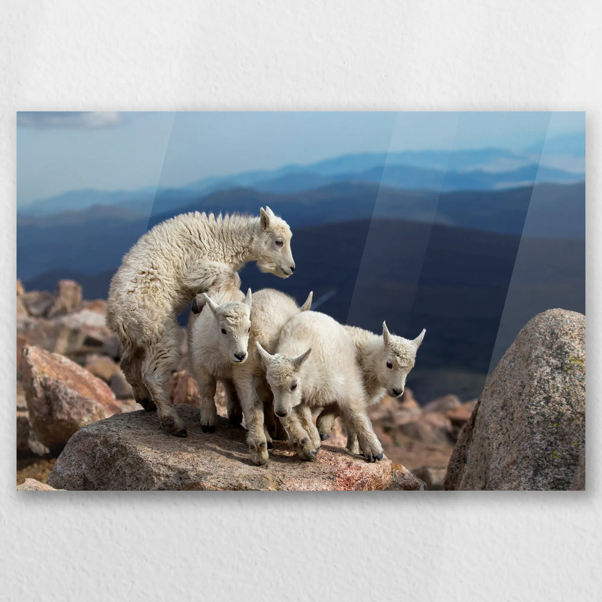 AC-030W020