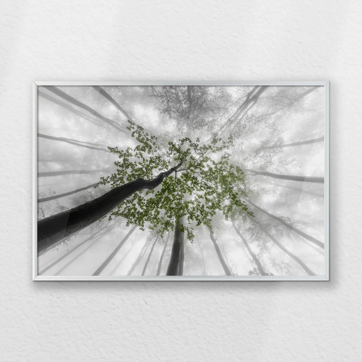 PS-060W040