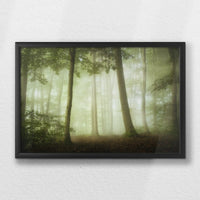 LWB060W040