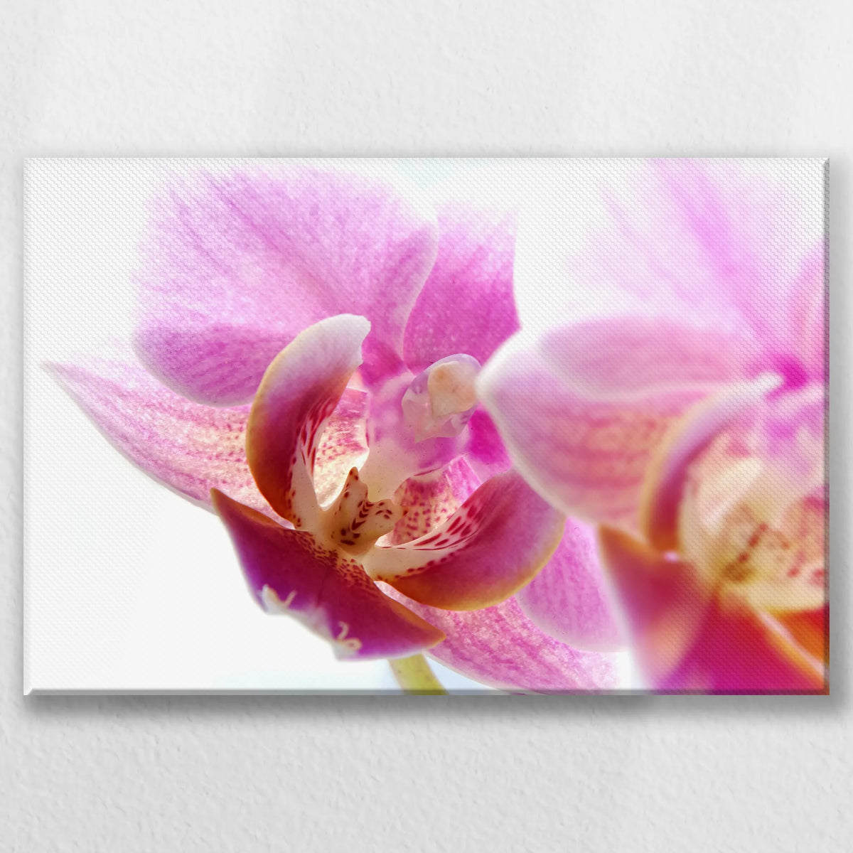 LW-060W040
