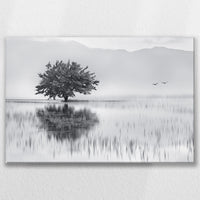 LW-075W050