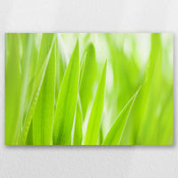 AC-030W020