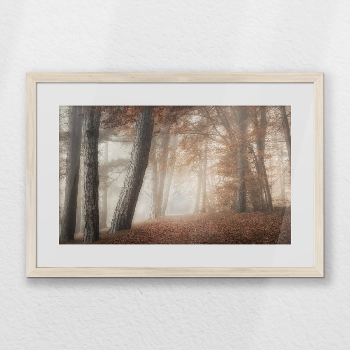 PNP060W040