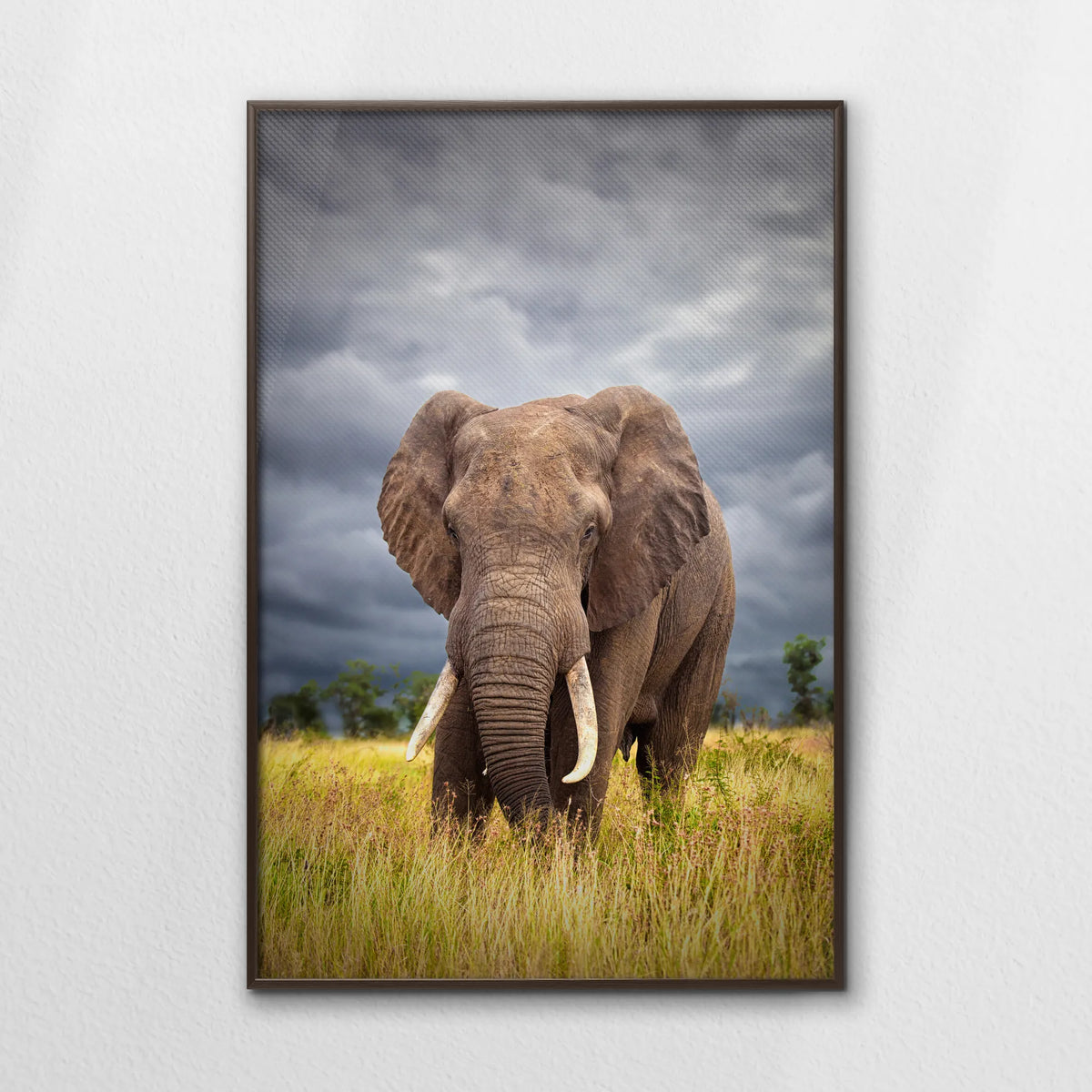 LWN080W120