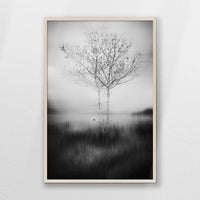 PN-062W093