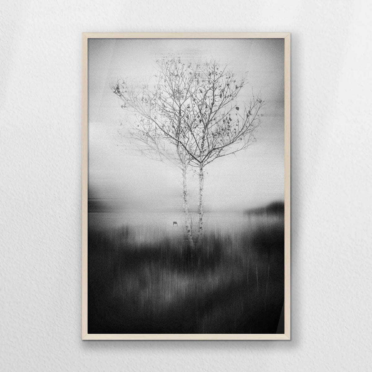 PN-062W093