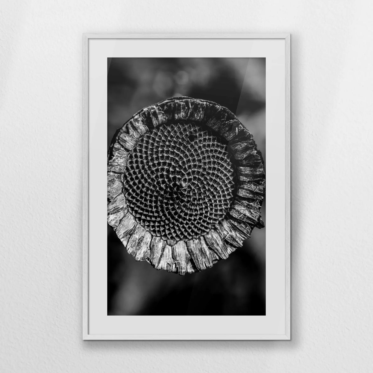 PWP070W100