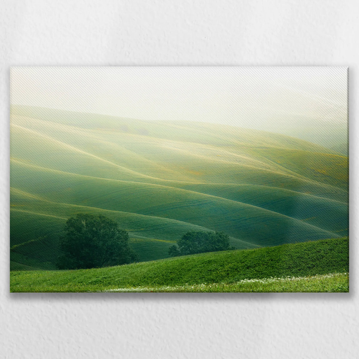 LW-075W050