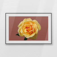 PBP100W070