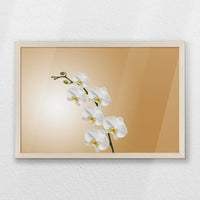 PN-060W040