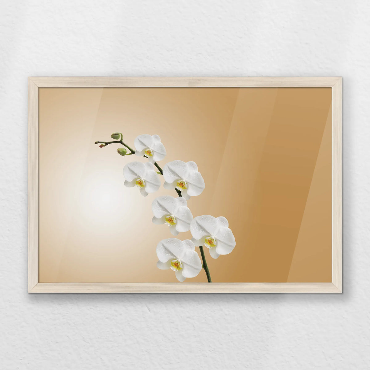 PN-060W040