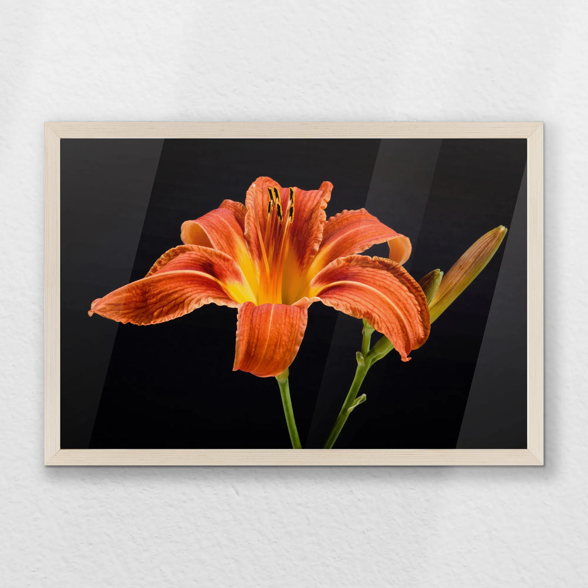 PN-060W040