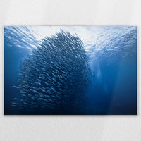 LW-120W080