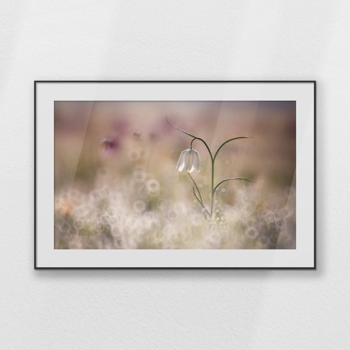 PBP120W080