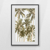 PBP040W060
