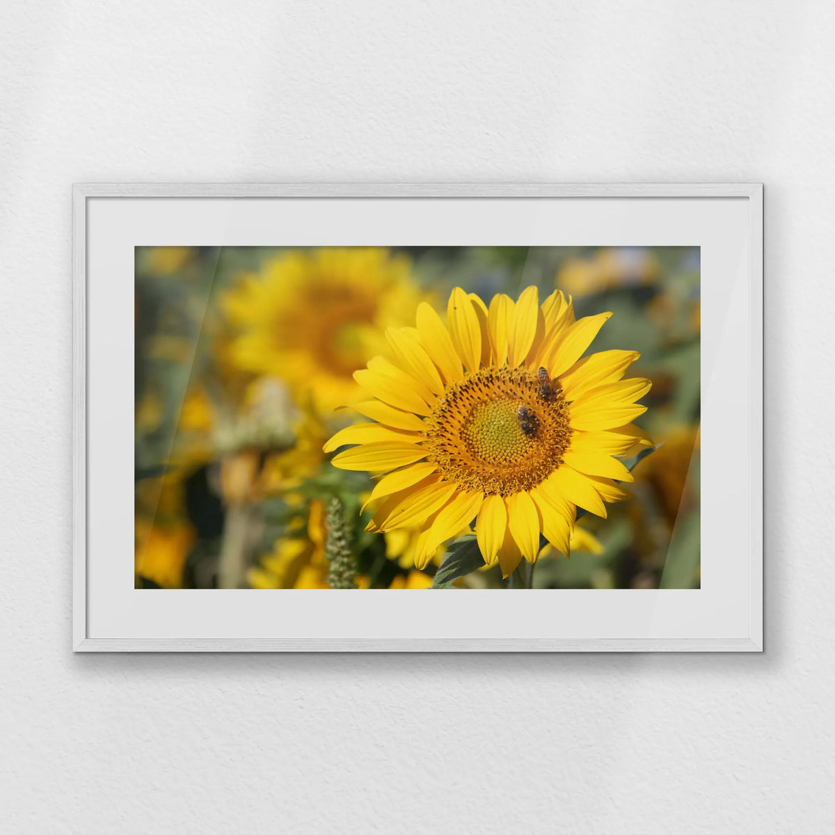 PWP093W062