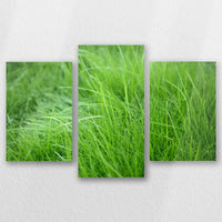 AC-060T040