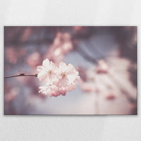 LW-120W080