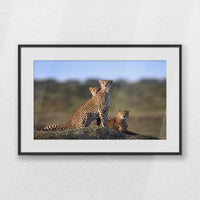PBP060W040