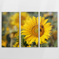 AL-150R100