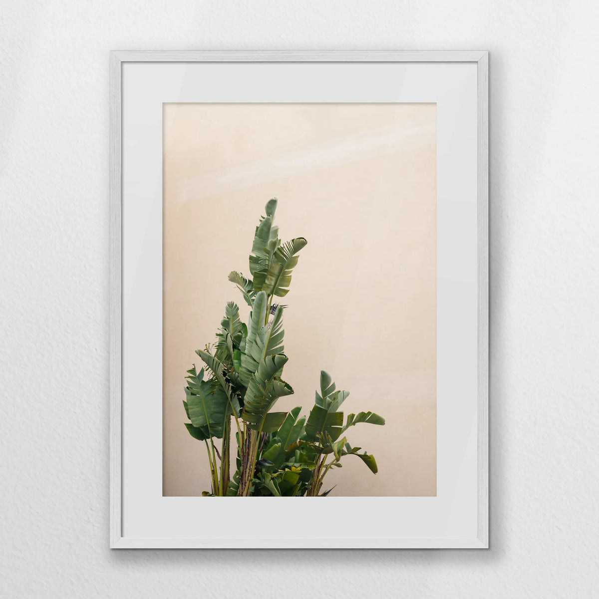 PWP060W080