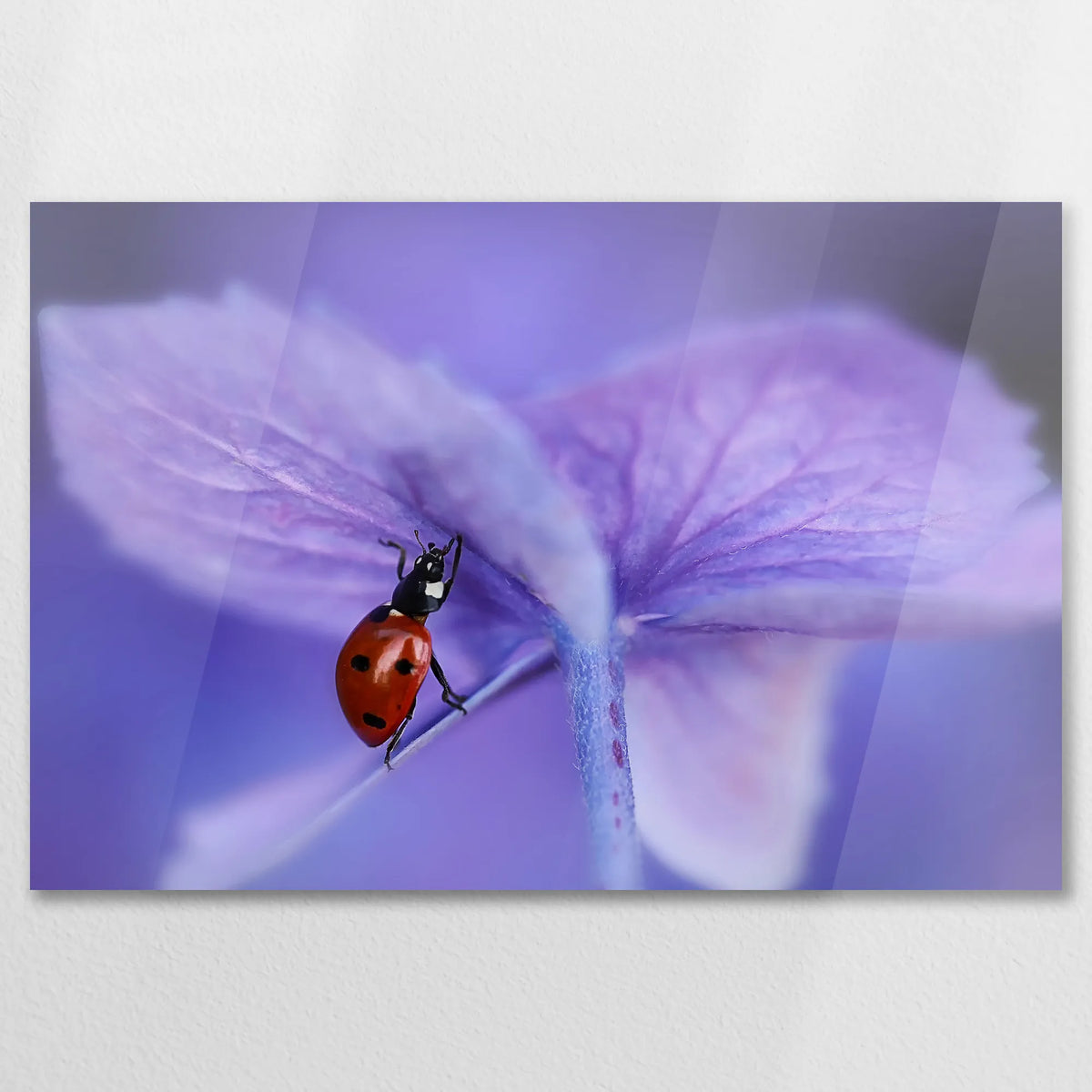 AC-090W060