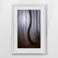 PWP040W060
