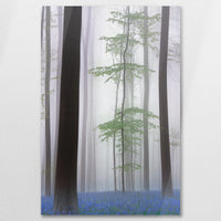 AC-080W120