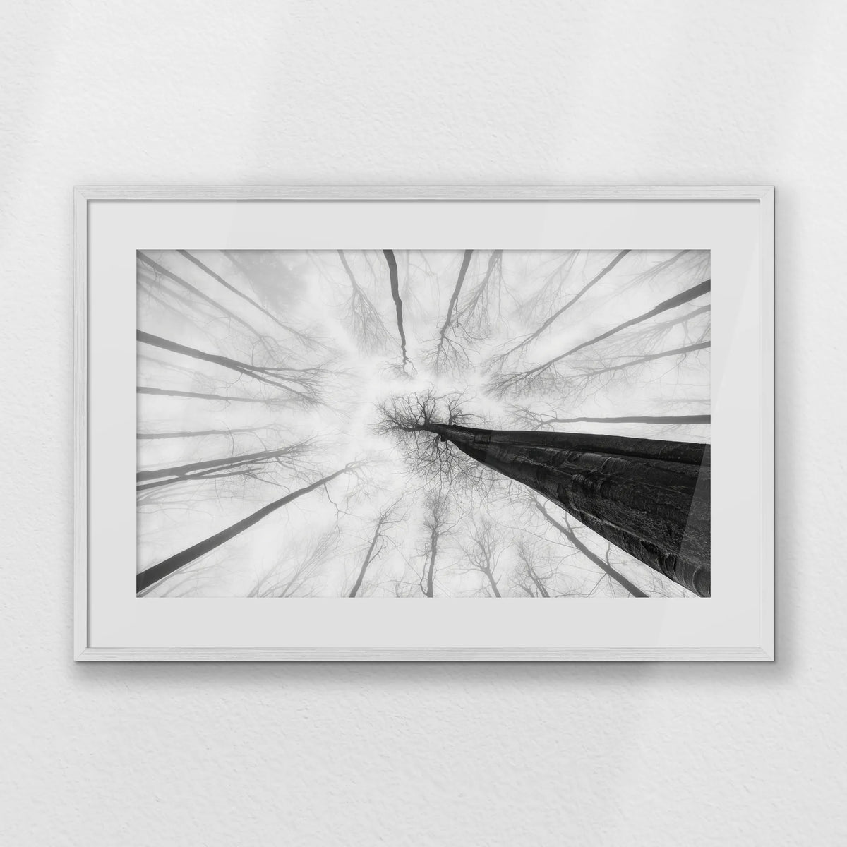 PWP093W062