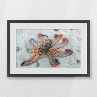 PKP060W040