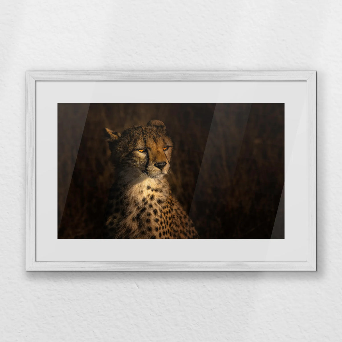 PWP060W040