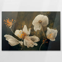 AC-075W050