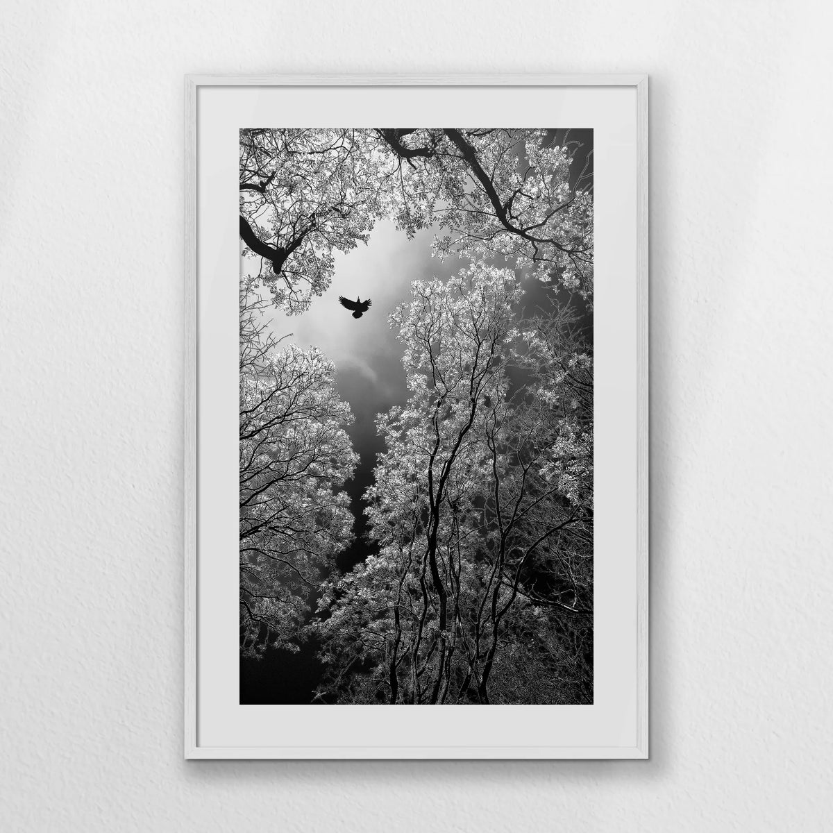 PWP070W100