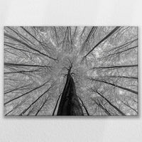 LW-090W060