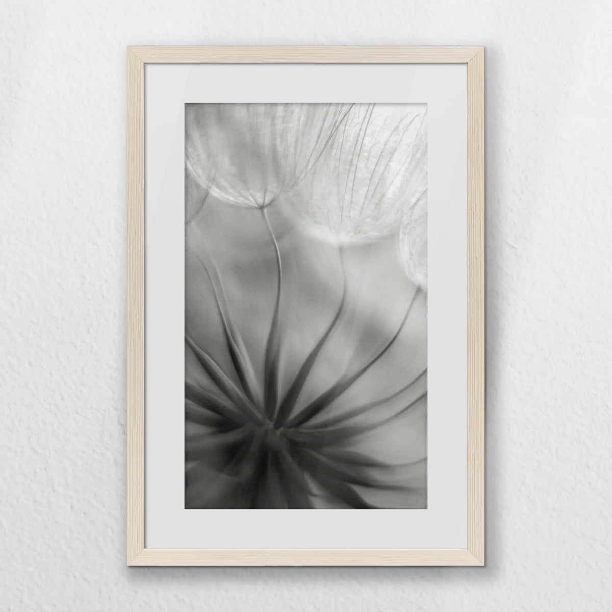 PNP040W060