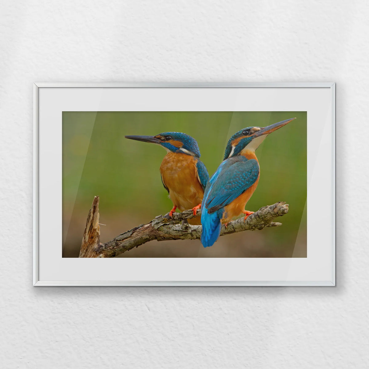 PSP060W040