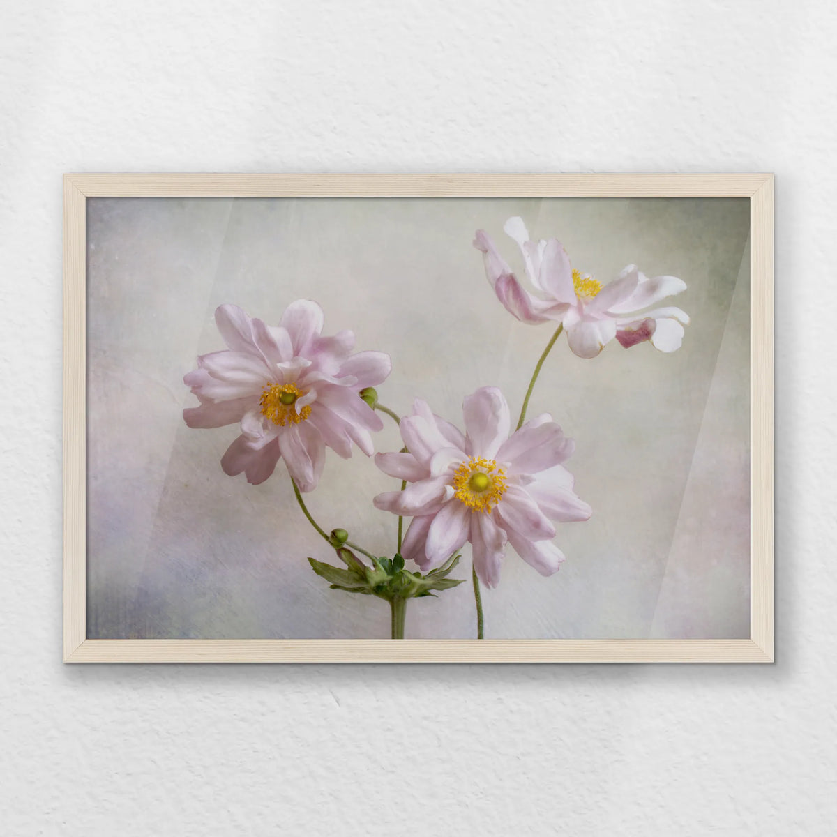 PN-060W040