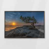 LWN120W080