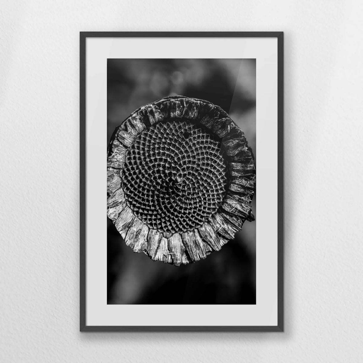 PKP062W093