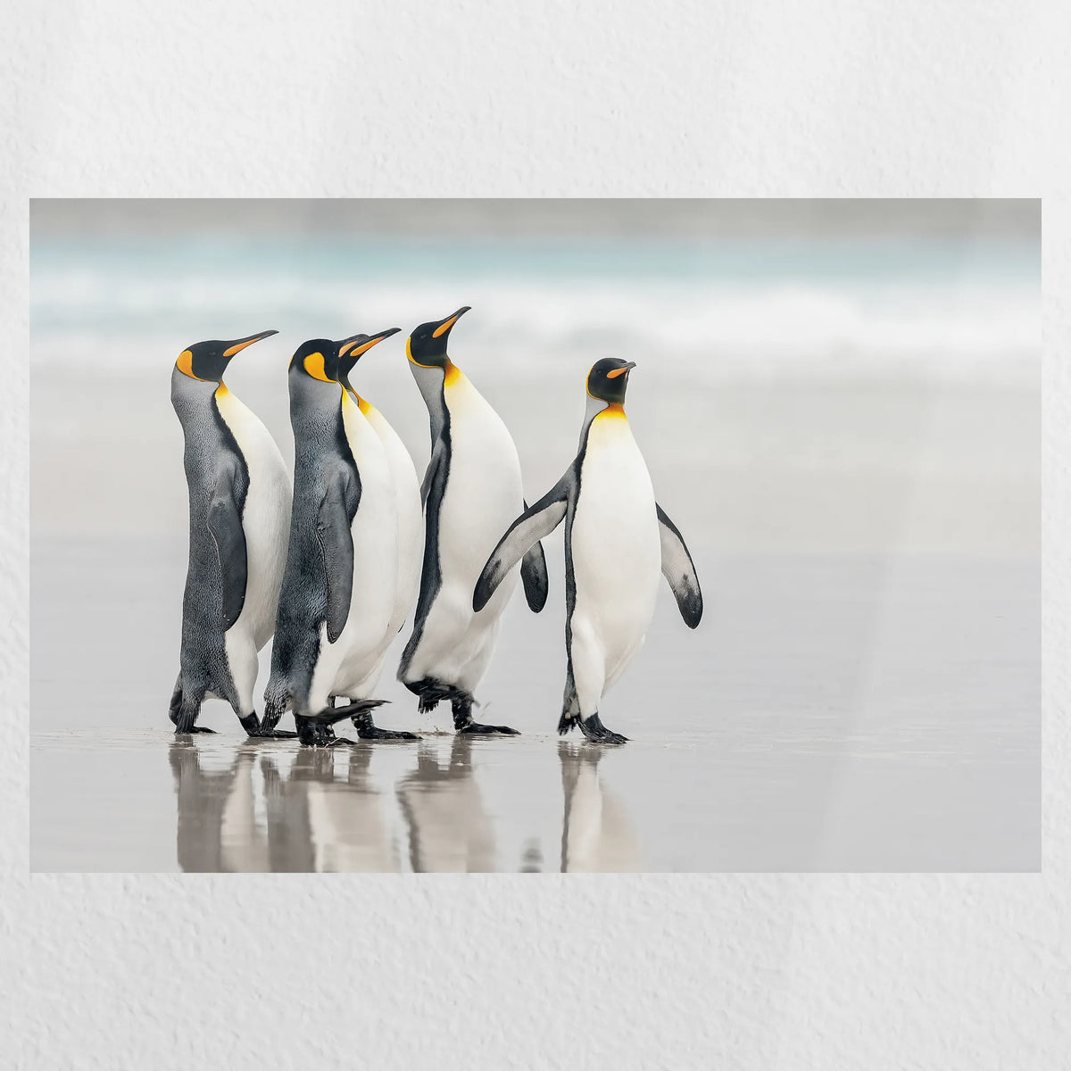 PO-030W020