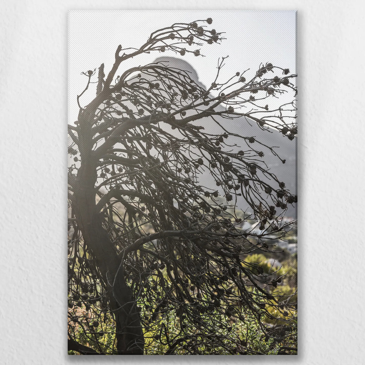 LW-080W120