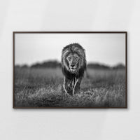 LWN120W080