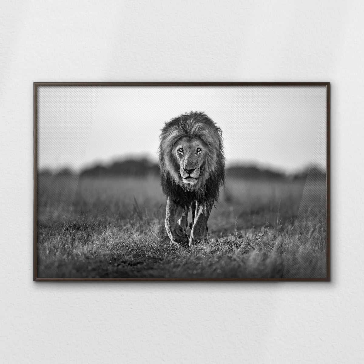 LWN120W080