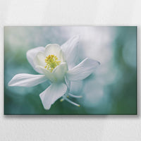 LW-060W040