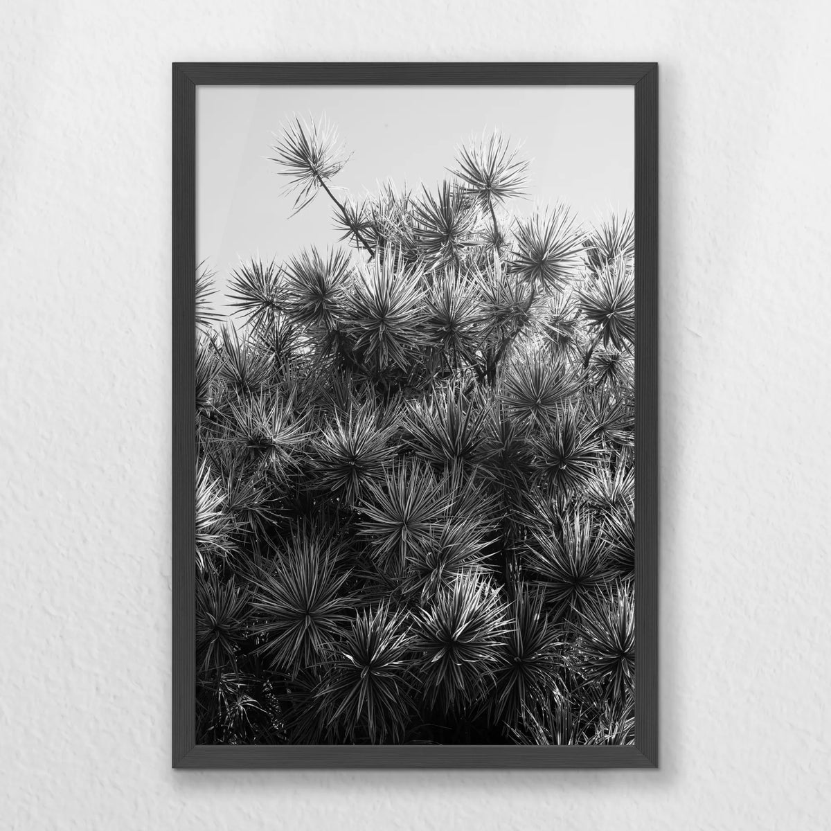 PK-040W060
